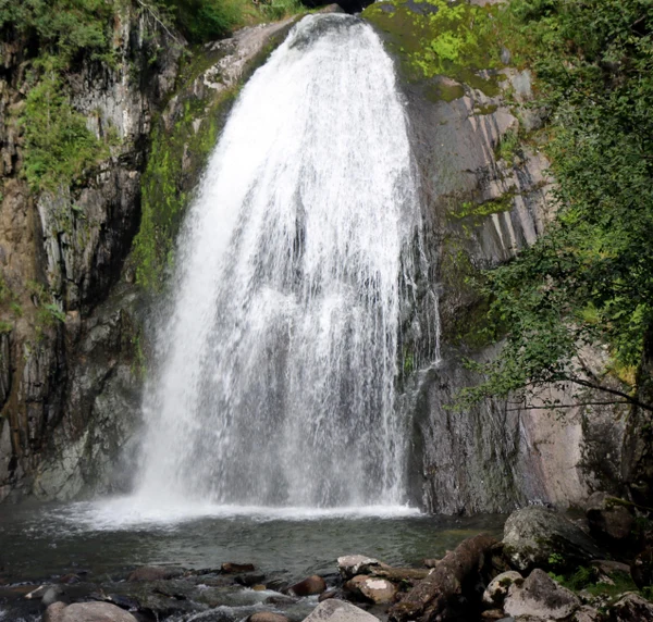 Экскурсии в самые завораживающие места Алтая